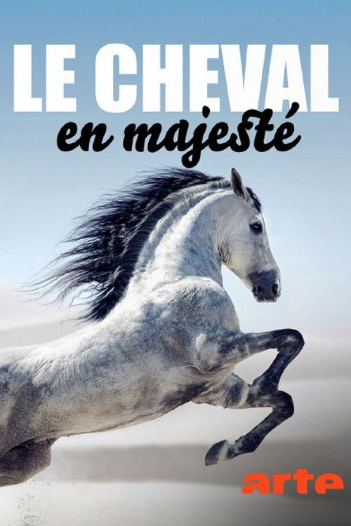 A grey horse majestically raising its front legs against a blue sky.